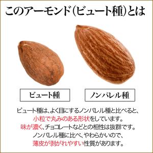 爆買 ナッツ グルメ訳あり アーモンド 無添加...の詳細画像2