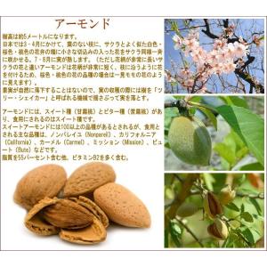 爆買 ナッツ グルメ訳あり アーモンド 無添加...の詳細画像4