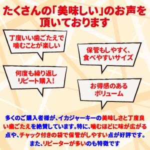 爆買 イカジャーキー 炙り いかジャーキー 珍...の詳細画像4