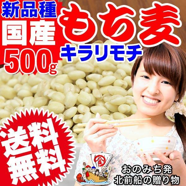 国産 もち麦 500g 送料無料 希少 もちむぎ(キラリモチ) 大麦 βグルカン