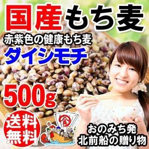 もち麦 国産 セール 送料無料 もちむぎ(ダイシモチ) 500g レジスタントスターチ βグルカン わけあり 訳あり｜onomichi-marukin