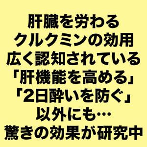 ターメリック ウコン パウダー インド産 50...の詳細画像4