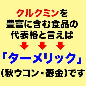 ターメリック ウコン パウダー インド産 50...の詳細画像5