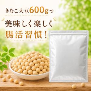 爆買 国産 ナッツ きなこ大豆 国産大豆 きな...の詳細画像1