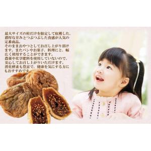 ドライいちじく 無添加 大粒 600g×1袋 ...の詳細画像2