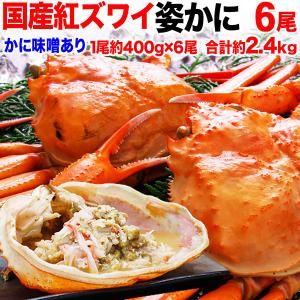 国産 姿 カニ かに 蟹 2.4kg セール ボイル 紅ズワイガニ 姿 400g×6尾 約2.4kg 山陰香住港 送料無料 かにみそ 蟹味噌