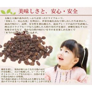 大粒レーズン 干しぶどう酢に レーズン(アメリ...の詳細画像2