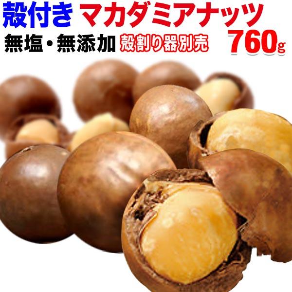 ナッツ マカダミアナッツ 殻付き 760g(380g×2袋) セール マカデミアナッツ メール便限定...