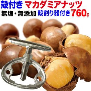 殻付き マカデミアナッツ 454g 3個セット マカダミアナッツ ロースト