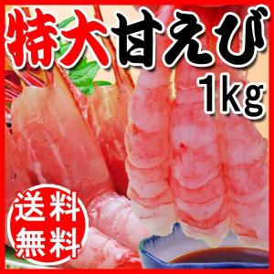 ギフト 送料無料 甘えび 特大 1kg (訳あり わけあり 不ぞろい 不揃い) エビ 海老 甘エビ