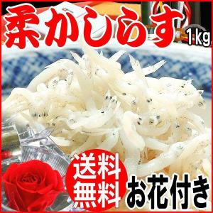 ギフト お花付き しらす 1kg 無添加 限定 徳島県産 送料無料 ちりめんじゃこ｜onomichi-marukin