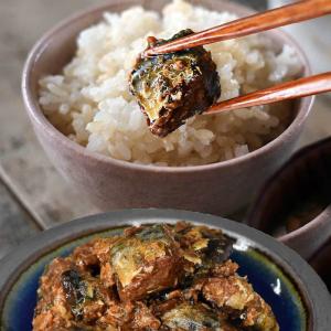 国産 さば サバ 鯖甘露煮 180g×1袋 ポ...の詳細画像3