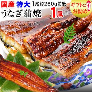 ギフト うなぎ 蒲焼き 国産 鰻 うなぎ蒲焼き 九州産 1尾 特大(約230〜250g前後×1尾)宮崎・鹿児島県産 送料1300円必要 ポイント利用