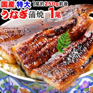 ギフト うなぎ 蒲焼き 国産 鰻 うなぎ蒲焼き 九州産 1尾 特大(約230〜250g前後×1尾)宮崎・鹿児島県産 送料1300円です｜onomichi-marukin