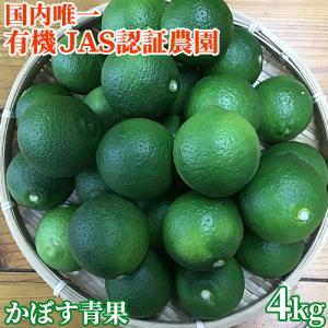 大分竹田産 かぼす青果 1箱 10Kg 秀品 優品 露地カボス 代引き