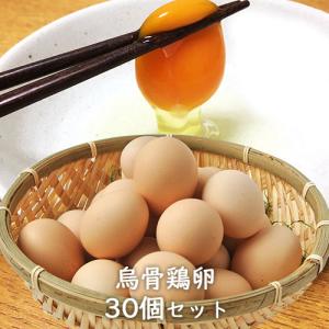 おおいた烏骨鶏卵 10個入り×3パック 合計30個(25個＋保証分5個) 大分県産 梶原種鶏孵化場 送料無料｜onsenken-oita