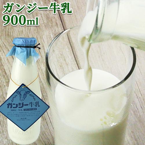 大分県産 生乳100％ 希少なガンジー牛乳 900ml ホモゲナイズ 久住高原 ガンジー牧場 送料無...