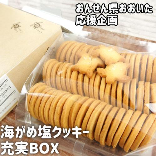 応援企画 全て国産素材のクッキー 海がめ塩クッキー充実BOX（57枚+子がめクッキー3枚）箱入り オ...