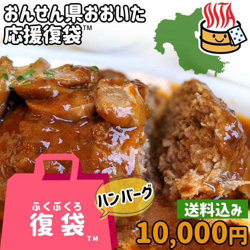 応援企画 おんせん県おおいた ふっこう復袋(福袋) ハンバーグ4種計16個詰め合わせセット デリカ・...