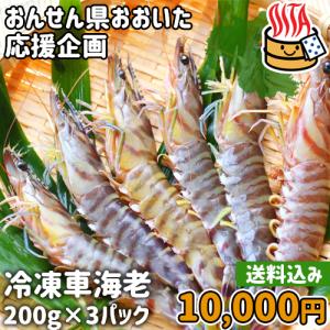 姫島 車海老（食品）の商品一覧 通販 - Yahoo!ショッピング