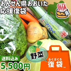 応援企画 新鮮な野菜詰め合わせを産地直送でお届け 野菜詰め合わせセット 爽食柑株式会社  送料無料｜onsenken-oita