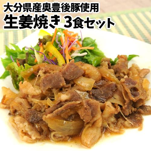 大分県産奥豊後豚使用 豚の生姜焼き 130g×3個 簡単調理 時短 レンチン お惣菜 豚肉 冷凍便 ...