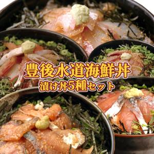 豊後水道海鮮丼5種食べ比べセット (りゅうきゅう/活き...