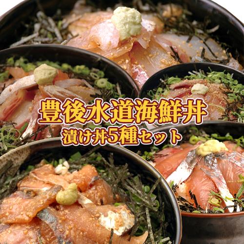 豊後水道海鮮丼5種食べ比べセット (りゅうきゅう/活きぶり/活きたい/津さば/津あじ) 各1食 海鮮...