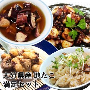 大分県産 国東地だこ贅沢セット(たこ飯の素・味付たこ・やわらか煮・唐揚げ・一夜干し)