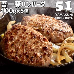 大分県産豚肉&国産玉ねぎ使用 吾一豚 手ごねハンバーグ 100g×5個入り 焼くだけ 洋風おかず お惣菜  梶原畜産 送料無料｜onsenken-oita