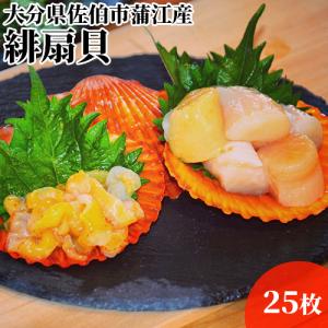 大分県産 緋扇貝(ひおうぎがい) 25枚セット 新鮮な海鮮...
