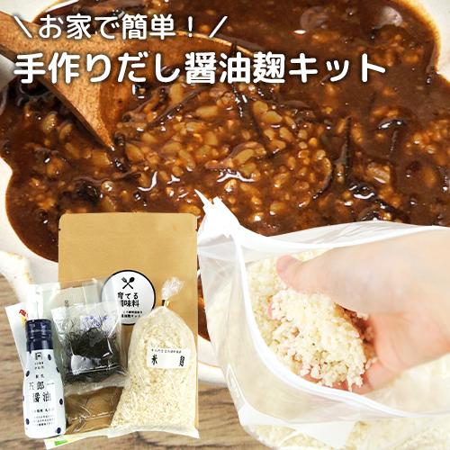 自分だけのオリジナル発酵調味料 育てる調味料・だし醤油麹キット からだこころ健幸協会 送料込