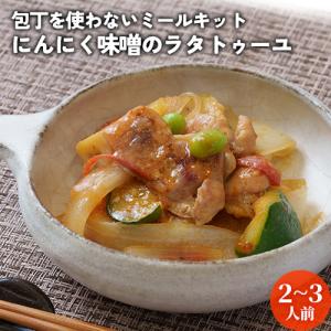 簡単炒めるだけの冷凍ミールキット にんにく味噌のラタトゥーユ 2〜3人前 カット済み野菜・鶏肉・調味料 ラタトゥイユ お惣菜 おかず｜onsenken-oita