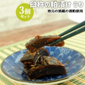 大分県臼杵市産瓜使用 臼杵の粕漬け うり 1枚×3個セット 無添加 漬物 漬け物 お惣菜 お茶請け めぐみ工房 送料込｜onsenken-oita