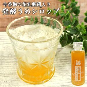 梅シラップ 590g 紀州梅100％ 梅ジュース 原液 濃縮タイプ 梅ジュース