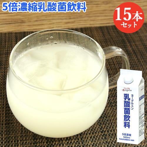 スッキリとした飲み口の乳酸菌飲料 5倍濃縮 ヨーグルトン 500ml×15本セット(ケース販売) 大...