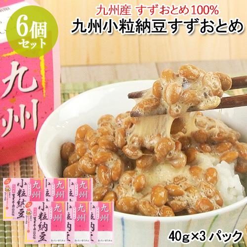 九州小粒納豆 すずおとめ(40ｇ×3) 6個セット 九州産大豆 本醸造醤油使用 二豊フーズ【送料込】