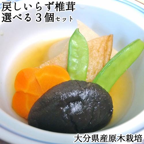 大分県佐伯市産 もどしいらず 原木栽培乾しいたけ 選べる3個セット 100g×いずれか3個入り(中肉...