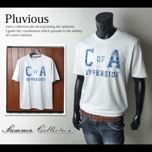 送料無料 メンズ Tシャツ 半袖 PLUVIOUS アメカジグラフィックデザイン クルーネック 綿100％ メール便対応｜onstyle