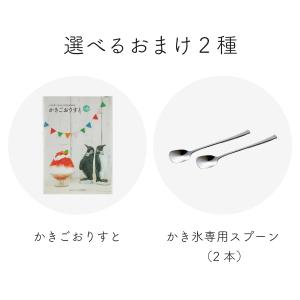 (選べるおまけ付き)FM-5S (FM 5S)...の詳細画像3