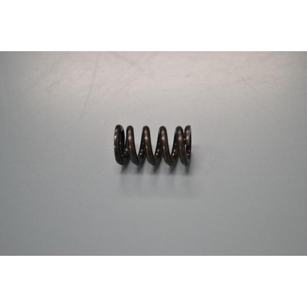 SWAN 池永鉄工 SI-100S用　ウォームスプリング 　業務用 電動かき機用 スワン　（取り寄せ...