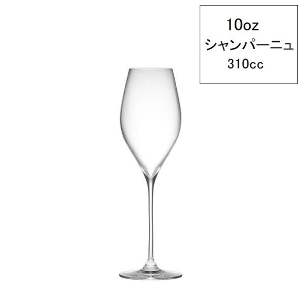【在庫あり】シャンパングラス 木村硝子店 ツル 10oz シャンパーニュ 310ml RONA ロナ...