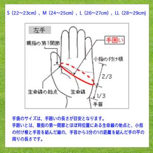 MIZUNO(ミズノ) バッティング手袋 ガチ...の詳細画像4