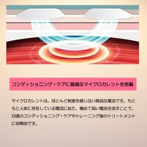 ATmini CHARGE コンディショニング...の詳細画像4