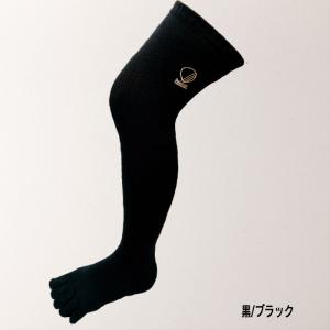 palourde(パルード) JushinSO...の詳細画像3
