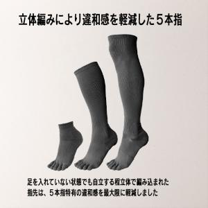 palourde(パルード) JushinSO...の詳細画像5