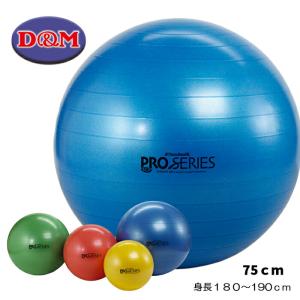 セラバンド TheraBand SCP 65cm グリーン 緑 エクササイズボール