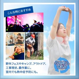 ユークール ハンズフリー氷嚢 アイスバック ネ...の詳細画像4
