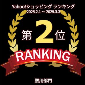 ZAMST(ザムスト) ZW-5 腰用サポータ...の詳細画像4