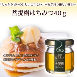 ぼだい樹ハチミツ40g｜ooba-beekeeping